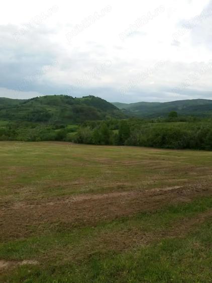 Teren de 20000 mp, în Rădulești