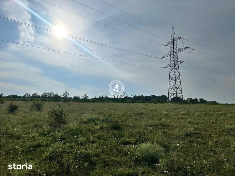 Teren de 633 mp, în Dumbrava