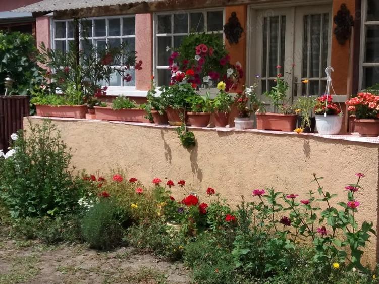 Casă cu 3 camere în Chegea