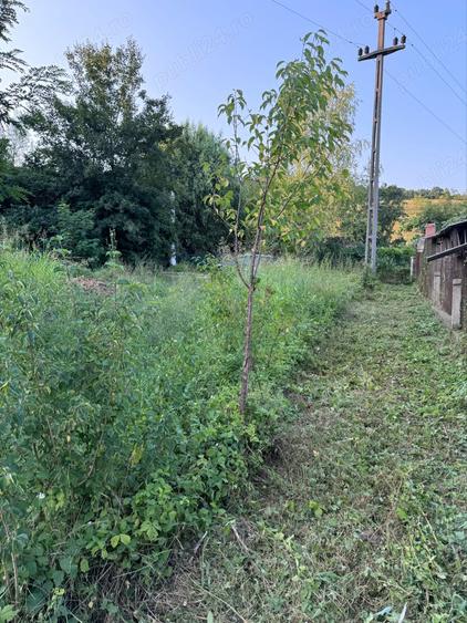 Teren de 4450 mp, în Șoimuș