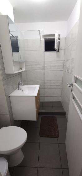 Sibiu/ Metrou Favorit 3 minute pe jos/ Renovat 2025 - 15