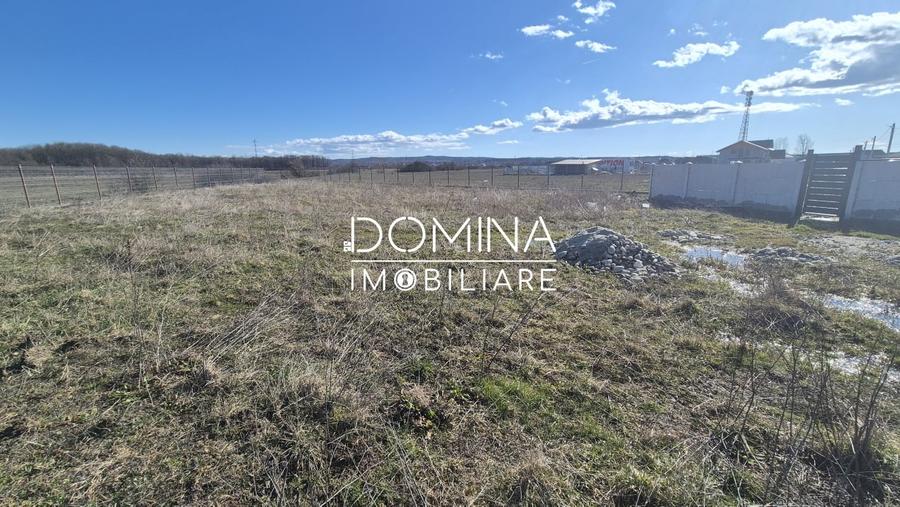 Vanzare teren intravilan imprejmuit - zona linistita, Dragutesti - 5