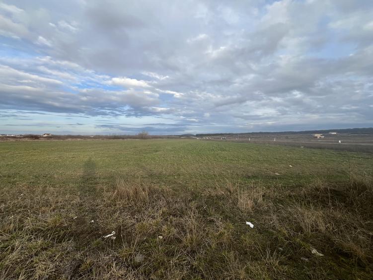 Oportunitate, 9196 mp, 30 euro/mp, 187,78 m deschidere la inelul metropolitan - 3