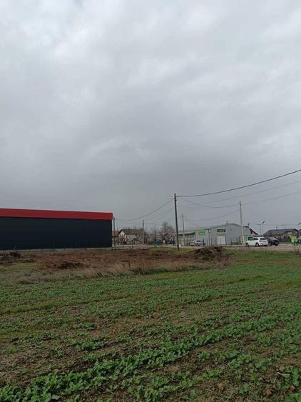 Vand teren 15000 mp, comuna Suseni, judetul Arges. - 2