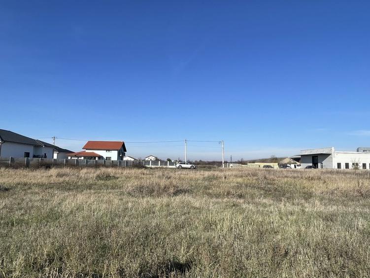 Teren 4316 mp Giarmata Vii-zona mica industrie, depozitare si servicii - 2