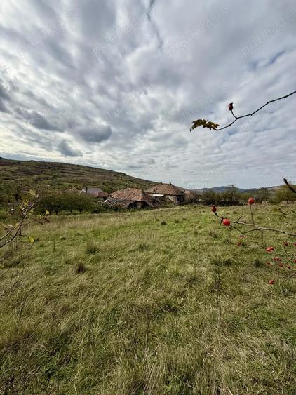 Casa de vanzare in Sanpetru Alma?ului, Hida, jud. Salaj-teren 7500 mp - 6