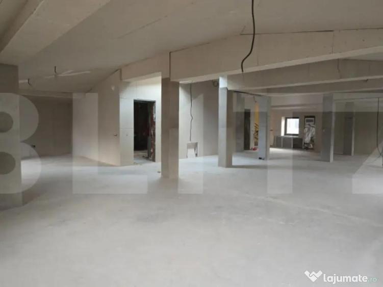 Spa?iu comercial tip casa, D+P+M, 440 mp, zona centrala C - 2