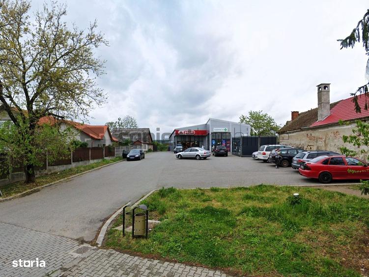 Sapient | Galerie comerciala in Tileagd, jud. Bihor - 2