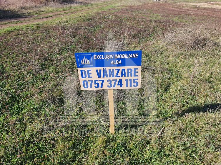 Teren intravilan | Pentru constructie | 1660 mp | Izvoarele-Blaj - 1