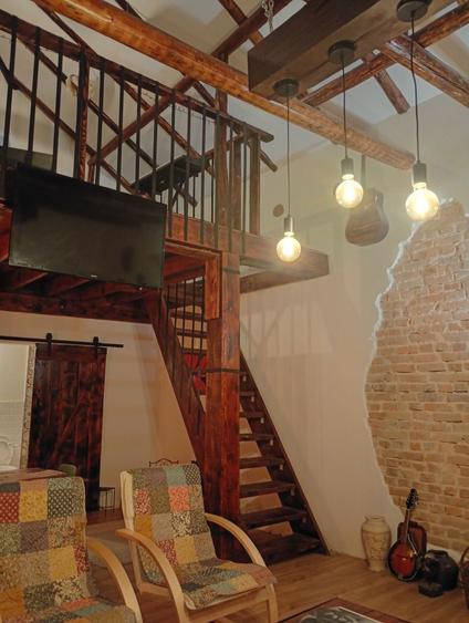 Domeniu cu doua case si curte de 2,4 hectare intravilan. - 4