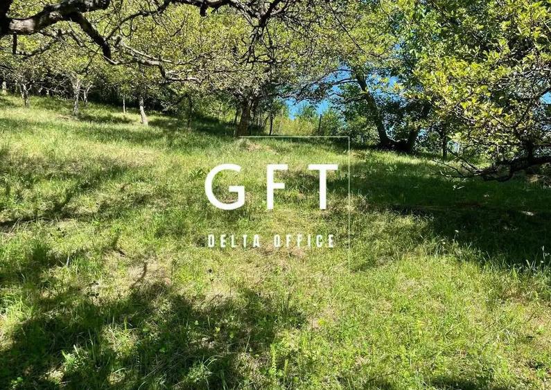 Terenuri de vanzare, 650- 669 mp Strada Dambului | ... - 1