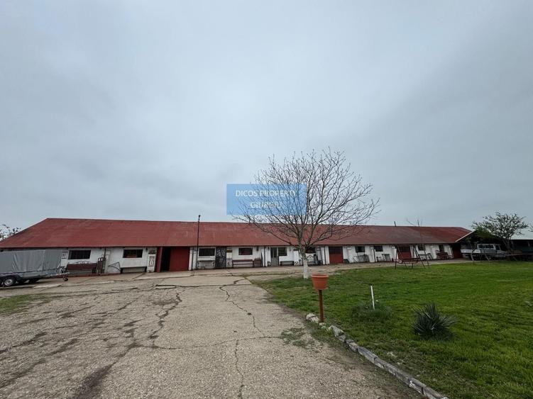 Proprietate industrială de vânzare sau închiriere – Comuna Frătești - 1