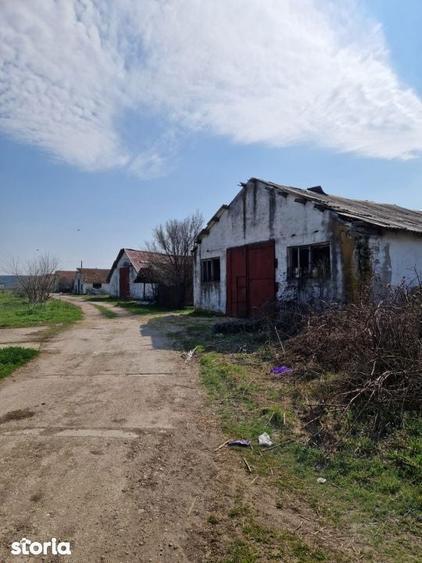 Ferma de vanzare 8 ha Bals, judetul Olt - 6