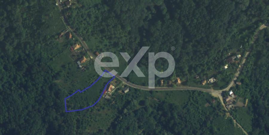 Teren intravilan 3052 mp | Băcești, Drăganu | asfalt | utilități la poartă - 5