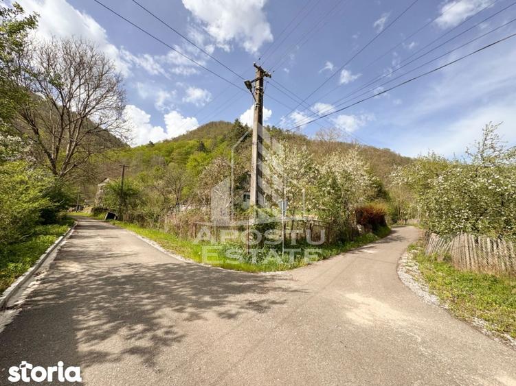 Casa batraneasca cu 2 camere, vedere panoramica, in Toplita, Hunedoara - 13