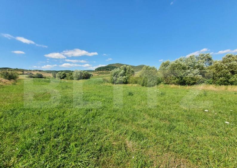 Teren extravilan, 31 de ari in Livezile - 5