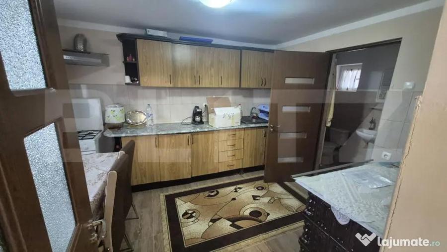 Casa cu 2 camere, 65 mp, teren 2910 mp, in Viile Satu Mare - 12
