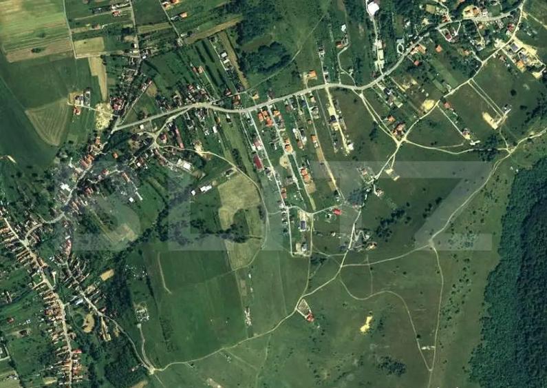 Teren intravilan parcelabil, 6000 mp in Salicea - 2