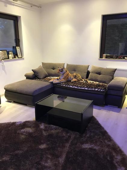 Casa de vanzare in Ors.Pantelimon, Ilfov - 1