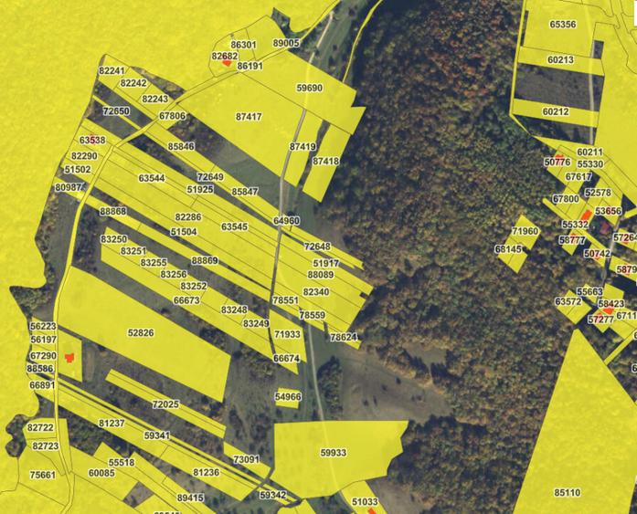 Teren intravilan pentru constructii cu regim mic de inaltime, Floresti - 2