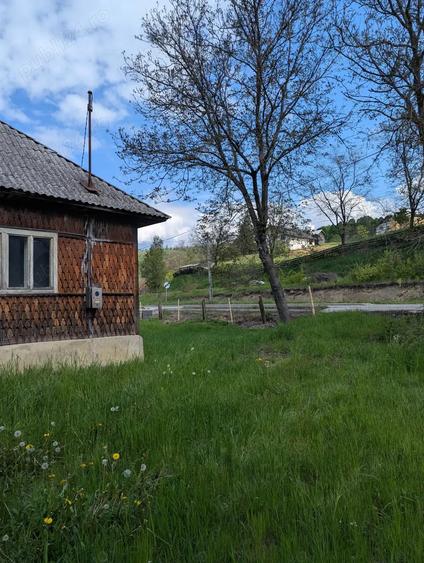 Vand casa ?i teren in comuna Moisei langa drumul principal DN 18 - 5