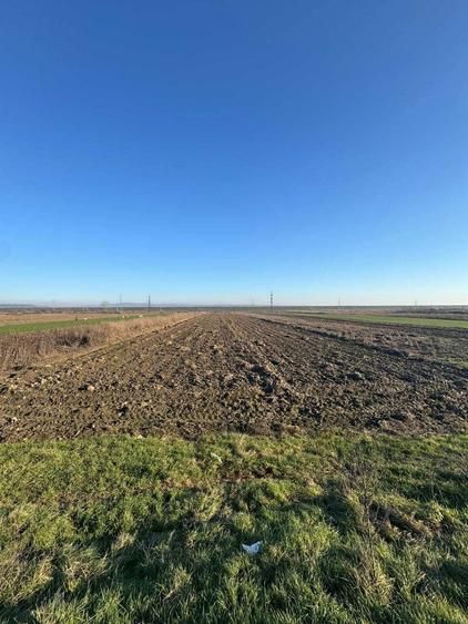 Teren de vanzare 5000 mp, Valea Mare, Babeni DN64 - 3