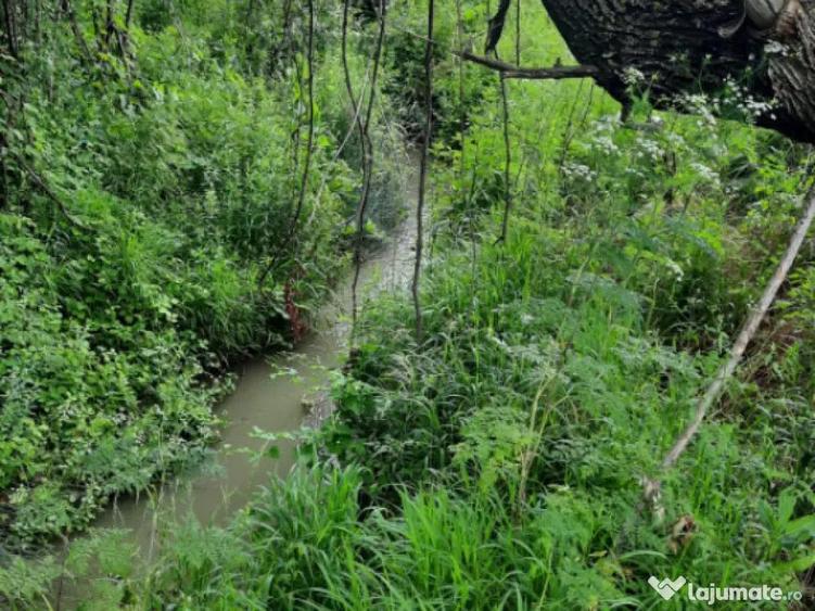 Teren extravilan de vanzare, 4900 mp, Bolde?ti Scaieni - 6