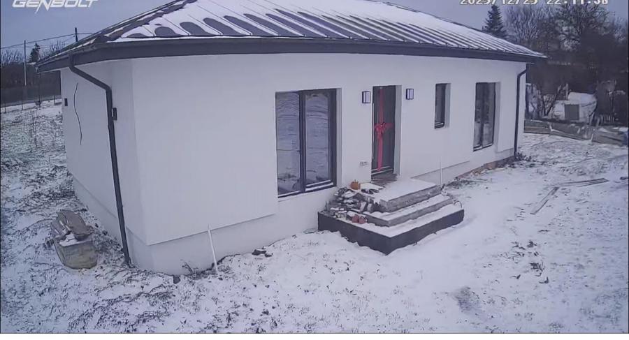 Padurea Parcul Natural Comana, Vlad Tepes, Giurgiu - 12