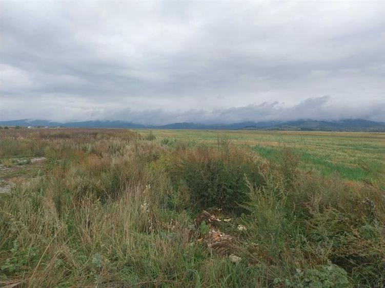 33.100mp, Tarlungeni, Brasov - 5