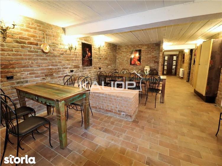 Casa individuala | 8 camere | 1200 mp | Piscina | Crama | Garaj | Fage - 9