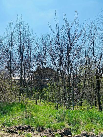 Vand teren extravilan 7800 mp in sat Lipia, com. Gruiu, jud. IF - 4