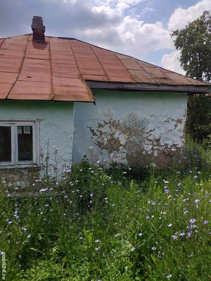 Casa in Ardeoani plus doua hectare de padure - 1