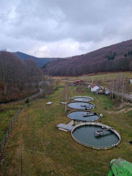 LANGA BRASOV, casa de vacanta23 mp, PASTRAVARIE,iaz cu pesti, CASUTA - 2