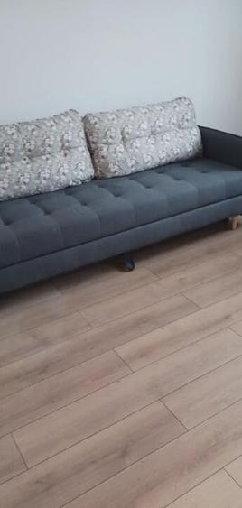 Chelinta, casa 1,2ha teren - 6