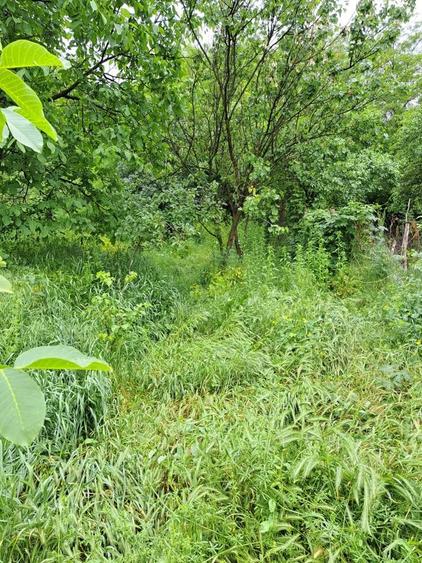 Casa batraneasca 15000 euro - 4