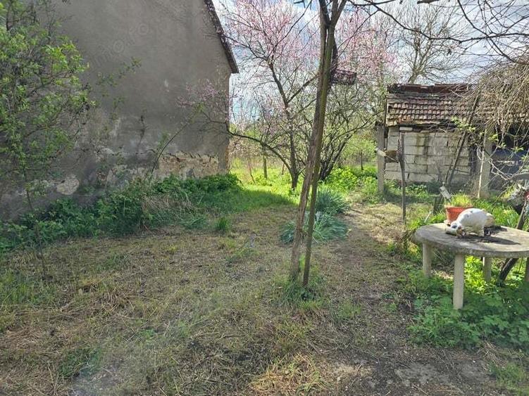 Casa in Batiz - 2