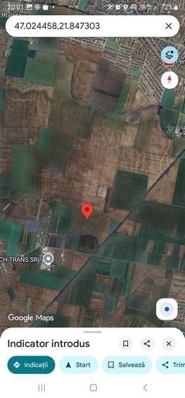 Teren extravilan Livada de Bihor - 1