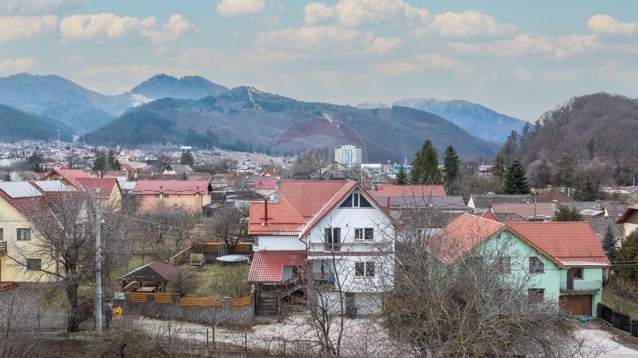 COMISION 0% | CASA SACELE 297 MP | CURTE 530 MP | - 50