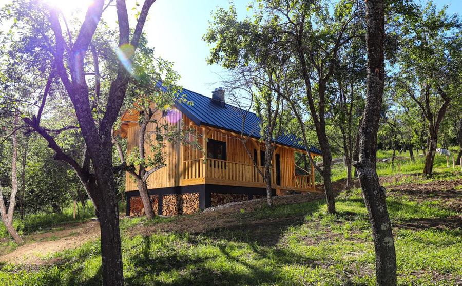 Cabana de vis in Nucsoara - Arges - 69.000 Euro! - 12