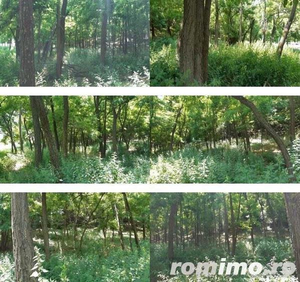 Teren Didesti, ID: R2058941 - 3