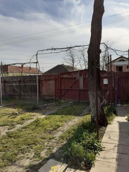 Oportunitate pentru visul tau - 3