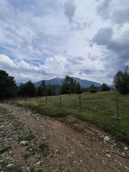 Teren extravilan 13.800 mp Ra?nov, Glajarie priveli?te superba, oportunitate de investi?ie - 3