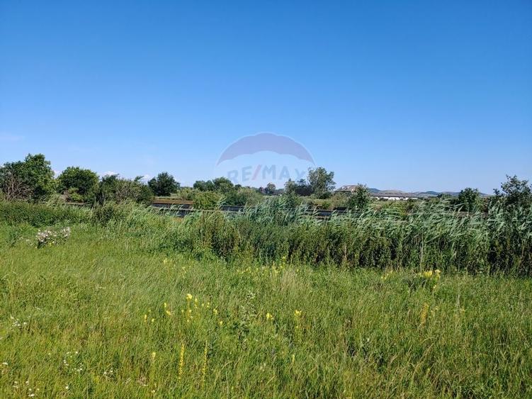 Spatiu industrial de 480mp+teren de 15069mp in Dornesti, Suceava - 17