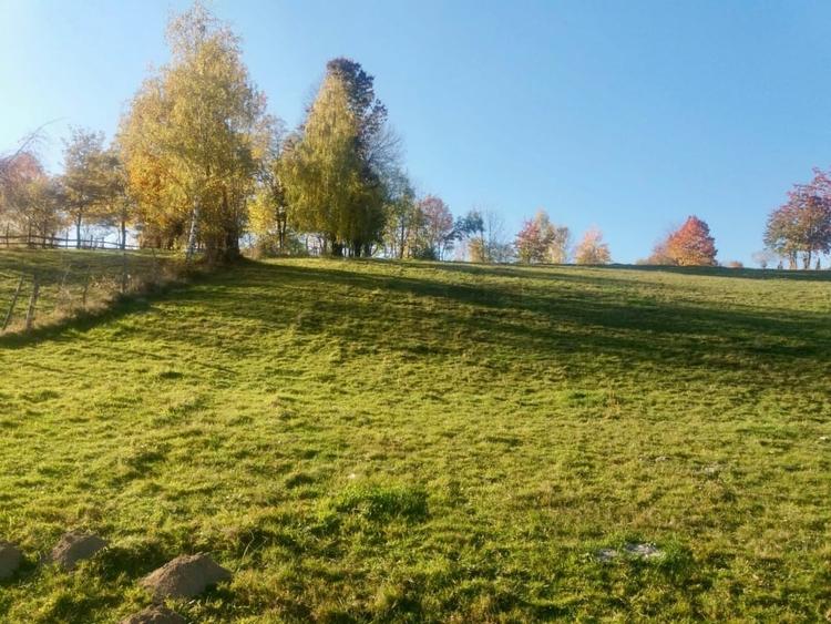 Teren intravilan de vanzare – Bran, Sohodol - 1