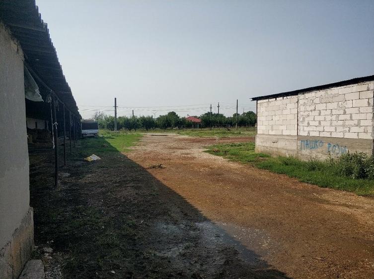 Ferma cu hale 3000 mp si teren 12000 mp, 30 km de Constanta - 11