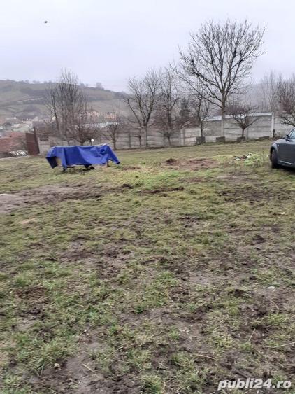 Inchriez teren 3600mp cu hala 270mp aprximativ pentru depozit si subsol, la 7 km de Sibiu ,800 euro, - 4