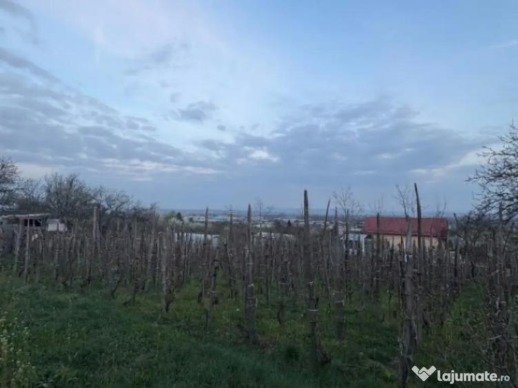 Teren de vanzare, 600 mp, zona Independentei - 2