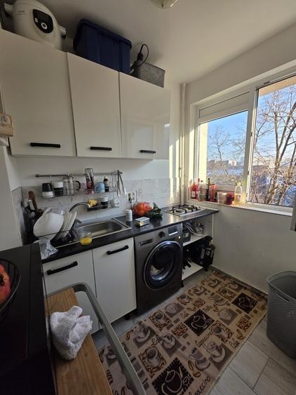 Dristor, chiar la gura de metrou, 10 minute mall Park Lake si parc IOR - 1