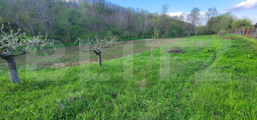 Teren 6650 mp, cu casa nefinalizata de 111 mp, in Nisipoasa. - 13