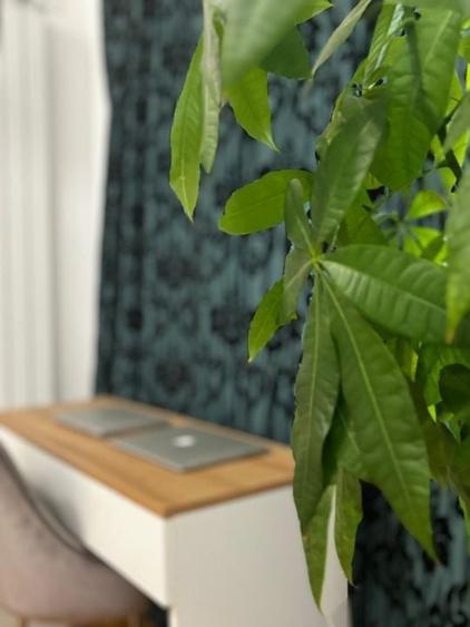 Apartament 3 camere Aviației - 4